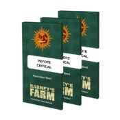 Barney's Farm Peyote Critical (paquet de 5 graines)