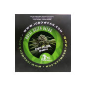 Royal Queen Seeds Apple Fritter IGrowCan Kit de Culture