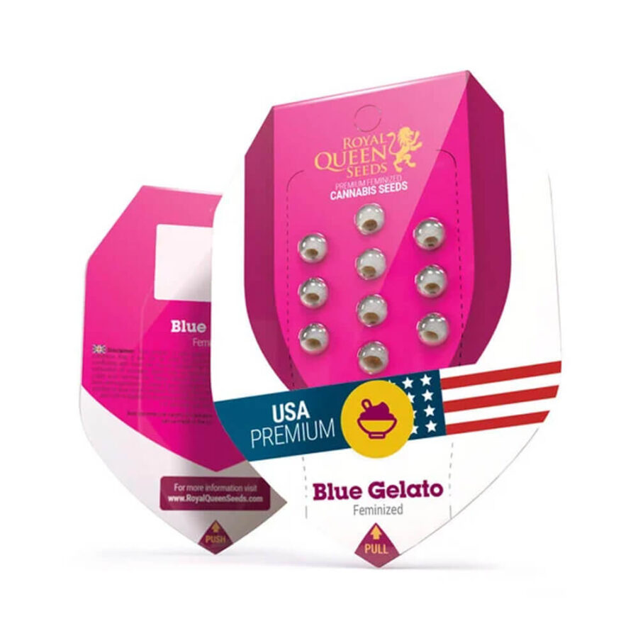 Royal Queen Seeds Blue Gelato graines de cannabis feminisées (paquet de 5 graines)