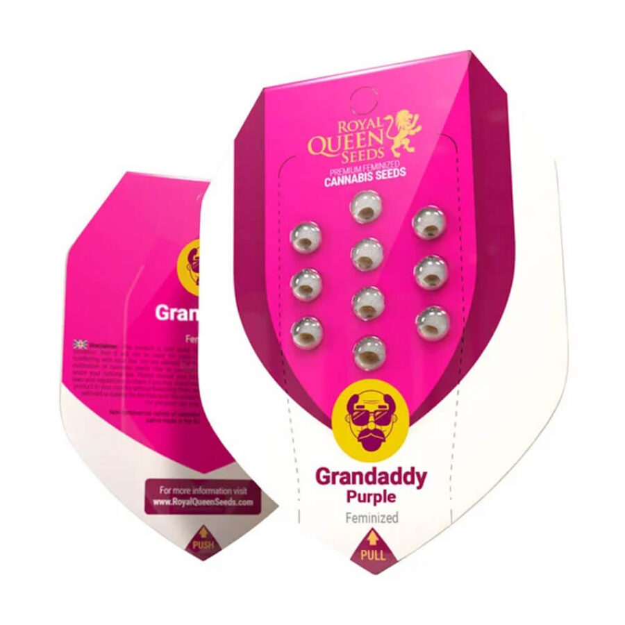 Royal Queen Seeds Granddaddy Purple graines de cannabis feminisées (paquet de 3 graines)