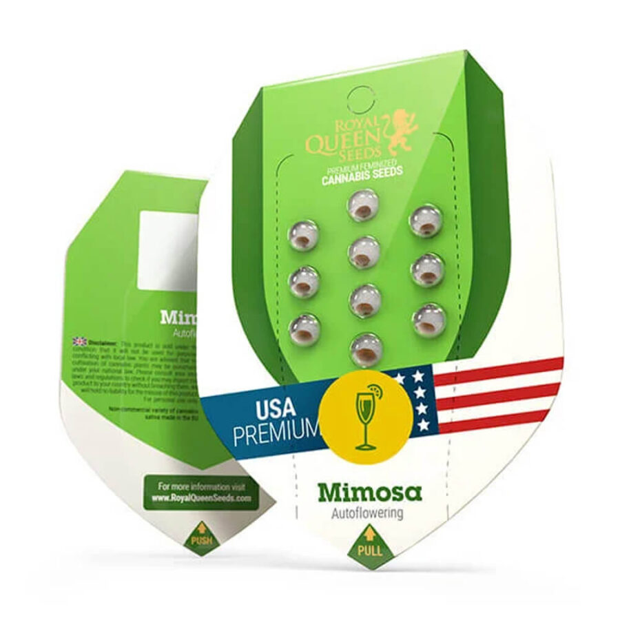 Royal Queen Seeds Mimosa Auto graines de cannabis autofloraison (paquet de 3 graines)