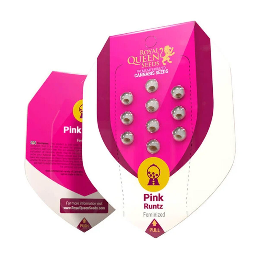 Royal Queen Seeds Pink Runtz graines de cannabis feminisées (paquet de 3 graines)