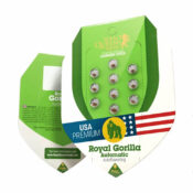 Royal Queen Seeds Royal Gorilla Automatic graines de cannabis autofloraison (paquet de 5 graines)