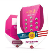 Royal Queen Seeds Royal Runtz graines de cannabis feminisées (paquet de 3 graines)