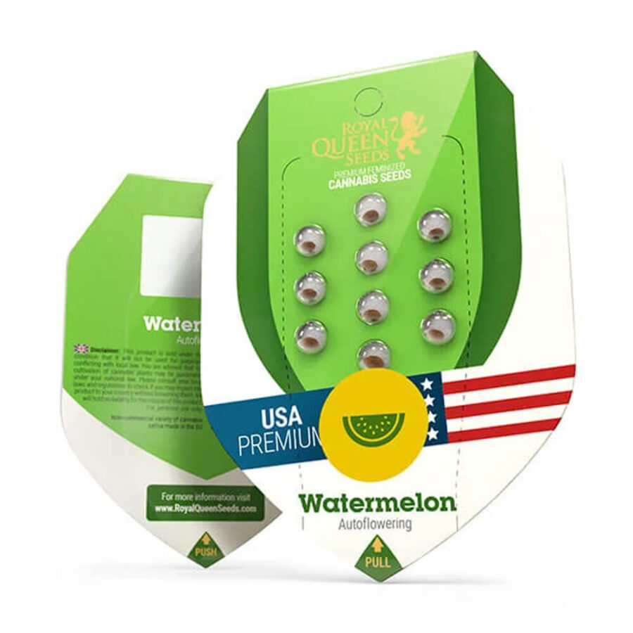 Royal Queen Seeds Watermelon Auto graines de cannabis autofloraison (paquet de 5 graines)