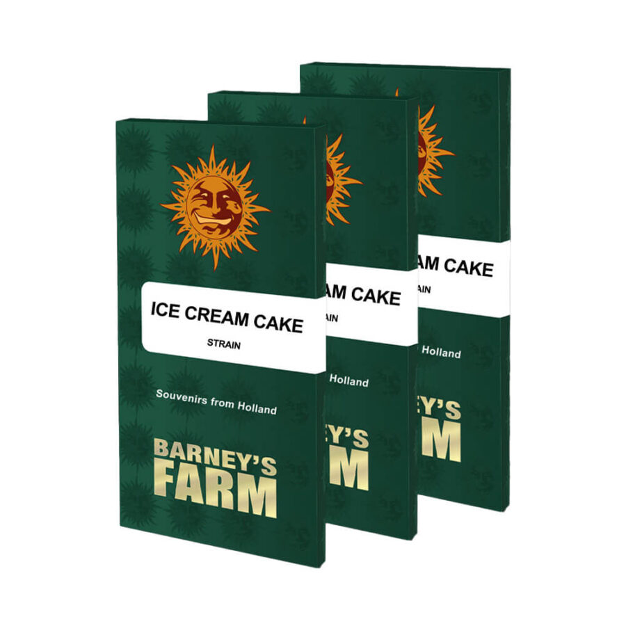 Barney's Farm Ice Cream Cake graines de cannabis feminisées (paquet de 3 graines)