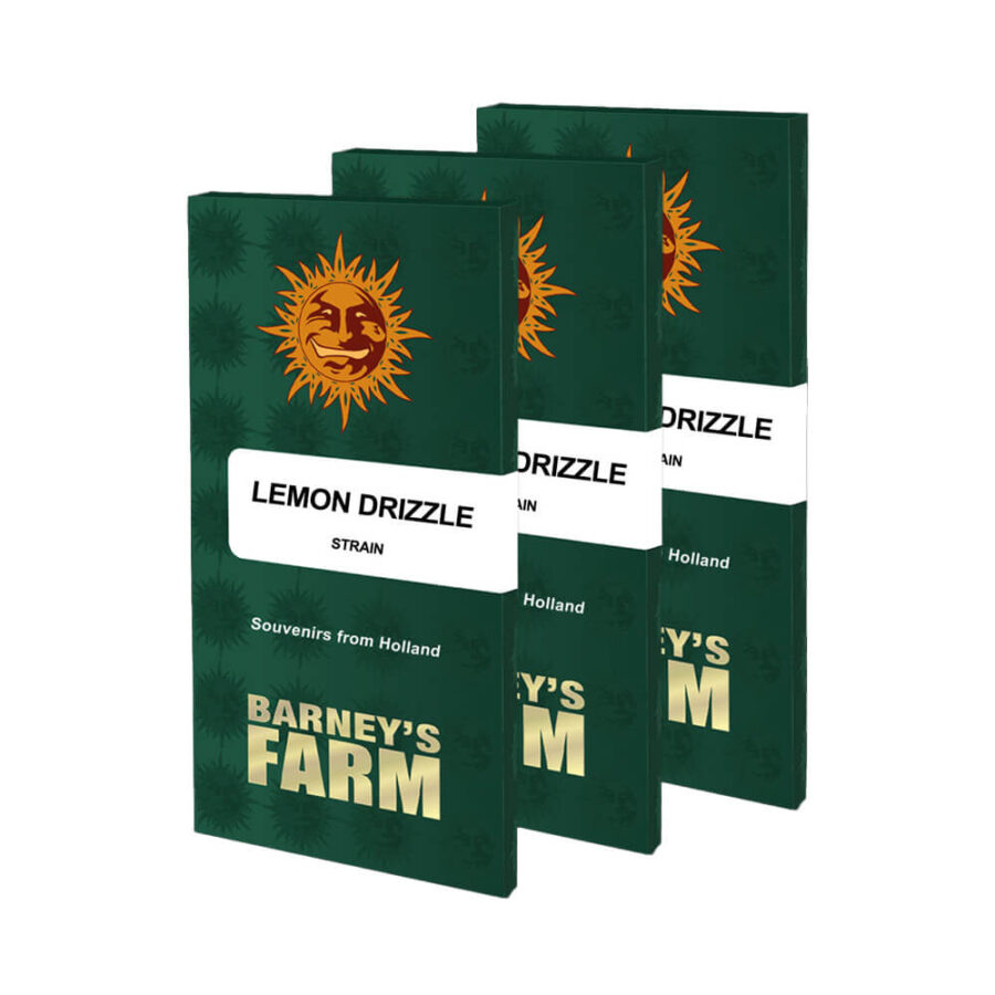 Barney's Farm Lemon Drizzle graines de cannabis feminisées (paquet de 3 graines)