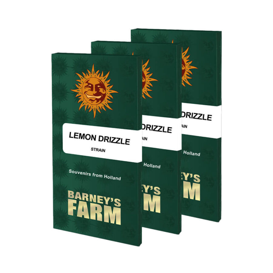 Barney's Farm Lemon Drizzle graines de cannabis feminisées (paquet de 5 graines)