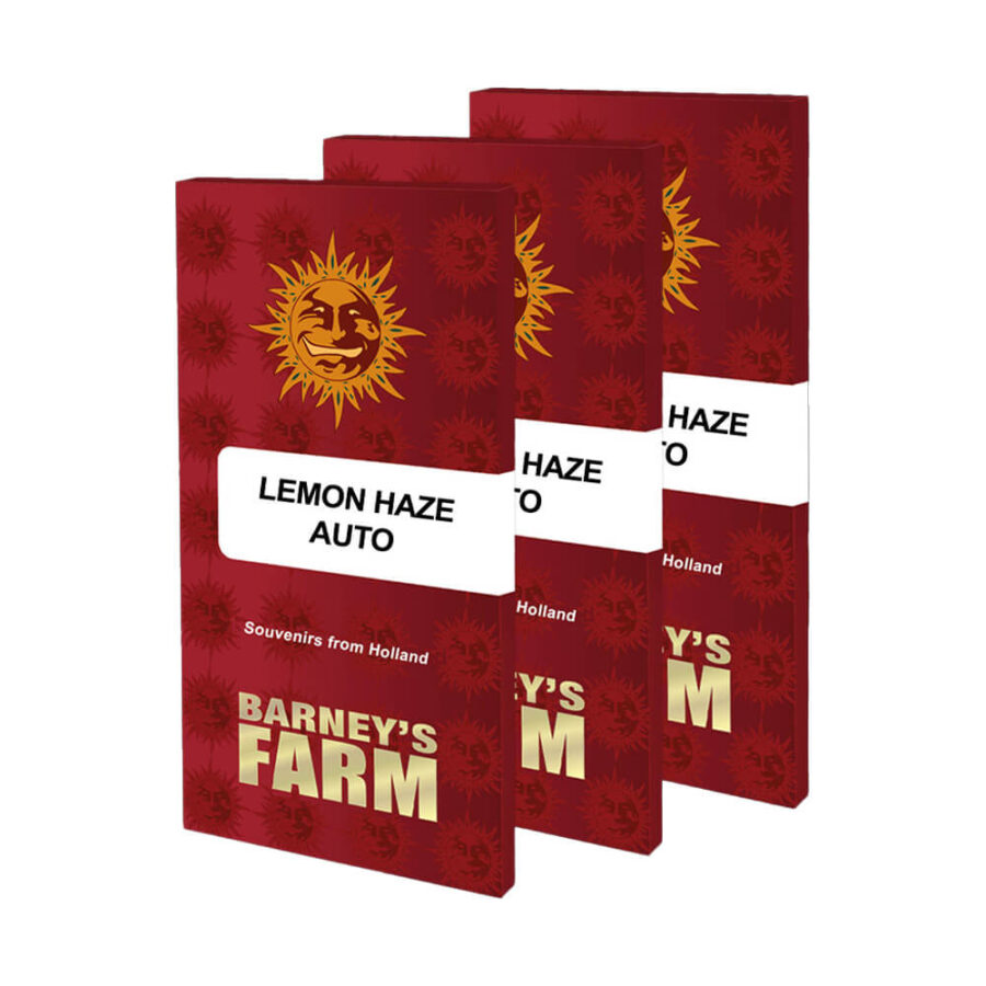 Barney's Farm Lemon Haze Auto graines de cannabis autofloraison (paquet de 5 graines)