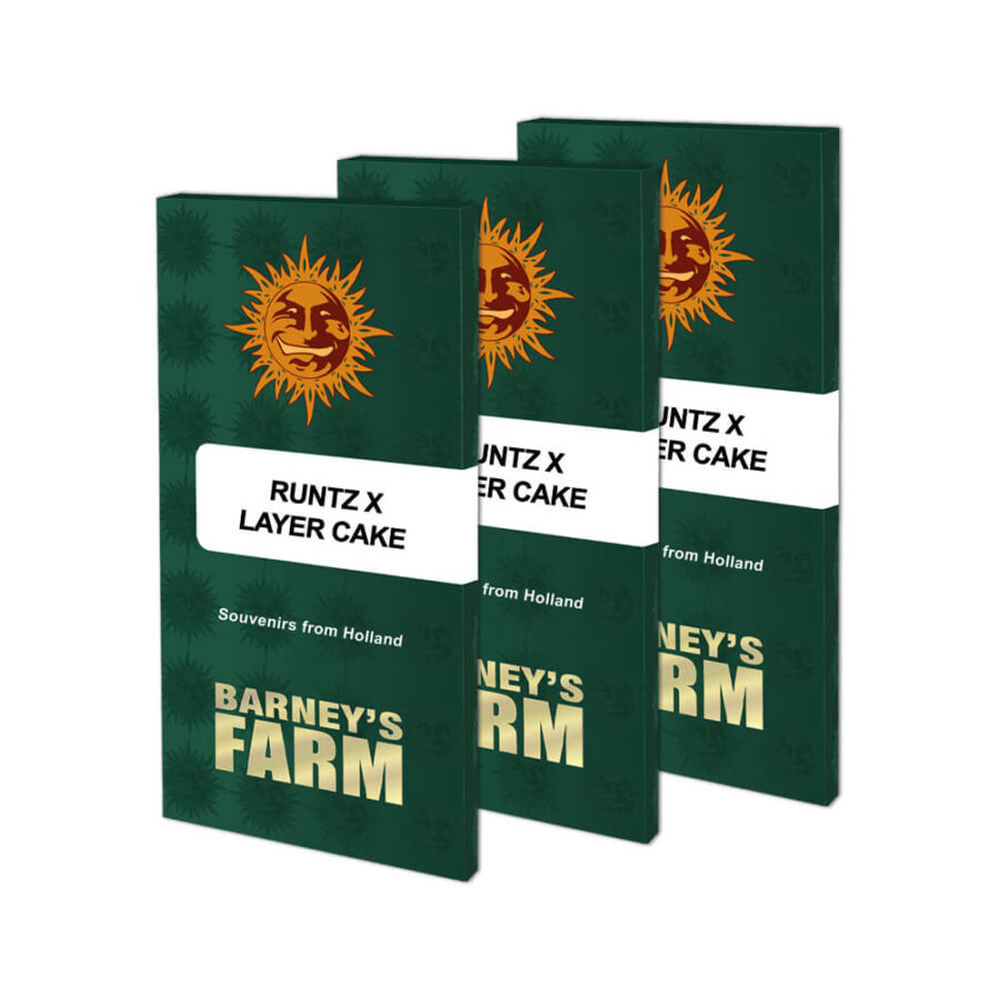 Barney's Farm Runtz x Layer Cake graines de cannabis feminisées (paquet de 3 graines)