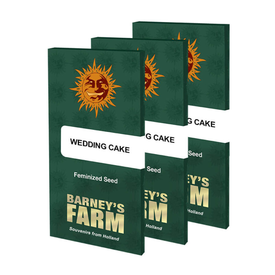 Barney's Farm Wedding Cake graines de cannabis feminisées (paquet de 5 graines)