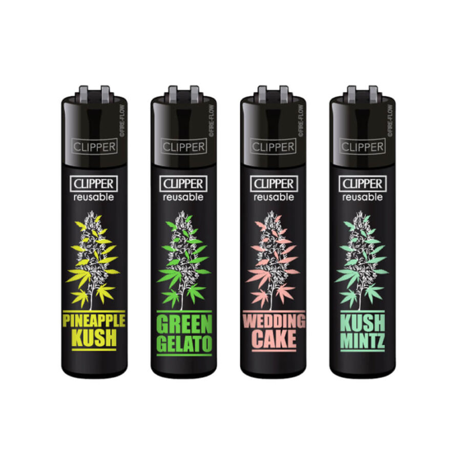 Clipper Lighter Plantz #6 (48uds/présentoir)