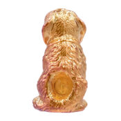 St Bernard Tube de Verre