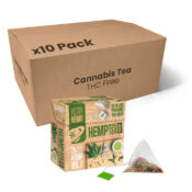 Astra Hemp Cannabis Té Verde en Piramide con 25mg de Aceite de Cáñamo (10packs/display