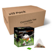 Té Verde de Cannabis Silver Haze en Piramide (10 Packs/display)
