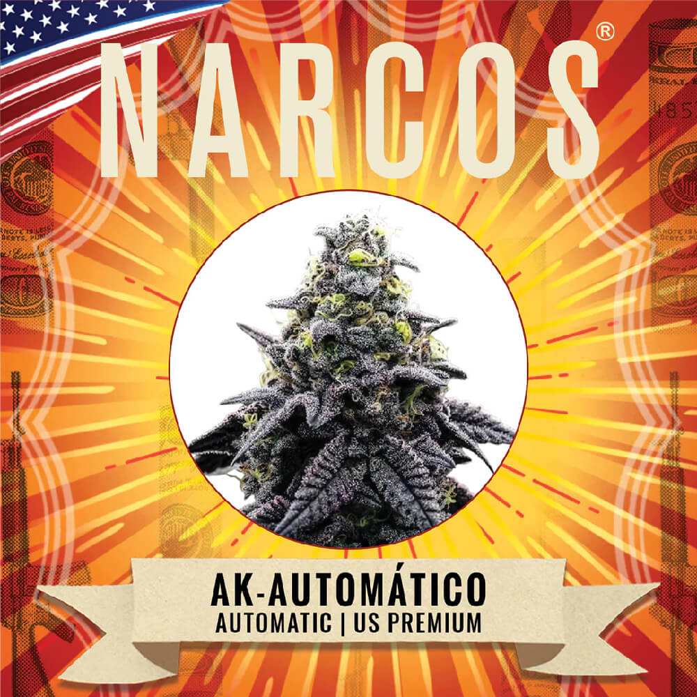 Narcos AK Automático Autofloreciente (3 Semillas/Paquete)
