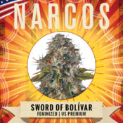 Narcos Sword of Boliávar Feminizada (5 Semillas/Paquete)
