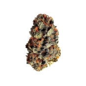 Royal Queen Seeds Dance World CBD Semillas de Cannabis (Paquete de 3 Semillas)