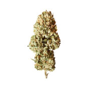 Royal Queen Seeds Royal AK Auto Semillas de Cannabis Autofloreciente (Paquete de 5 Semillas)