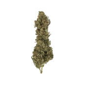 Royal Queen Seeds Royal Medic CBD Semillas de Cannabis (Paquete de 5 Semillas)
