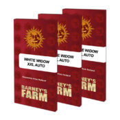 Barney's Farm White Widow XXL Auto Semillas de Cannabis Autoflorecientes (Paquete de 3 Semillas)
