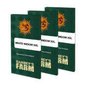 Barney's Farm White Widow XXL Semillas de Cannabis Feminizadas (Paquete de 3 Semillas)