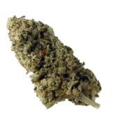 Amsterdam Genetics - Green Magic (5 Samen Packung)