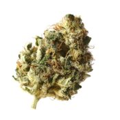 Barney's Farm Acapulco Gold (3 Samen Packung)