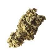 Amsterdam Genetics - Pineapple Kush (5 Samen Packung)