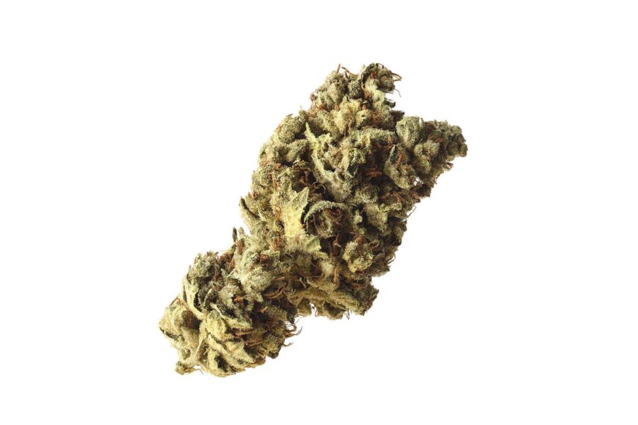 Amsterdam Genetics - Pineapple Kush (5 Samen Packung)