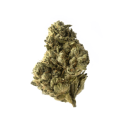 Amsterdam Genetics - White Choco (5 Samen Packung)