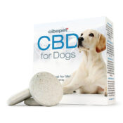 Cibdol Pastillen für Hunde mit 176mg CBD