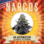 Narcos AK Automático Autoflowering (3 Samen Packung)