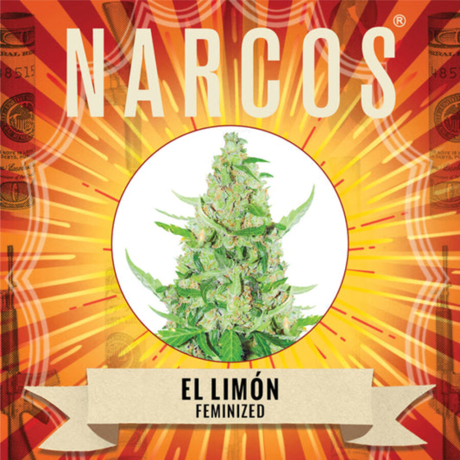 Narcos El Limón Feminized (3 Samen Packung)