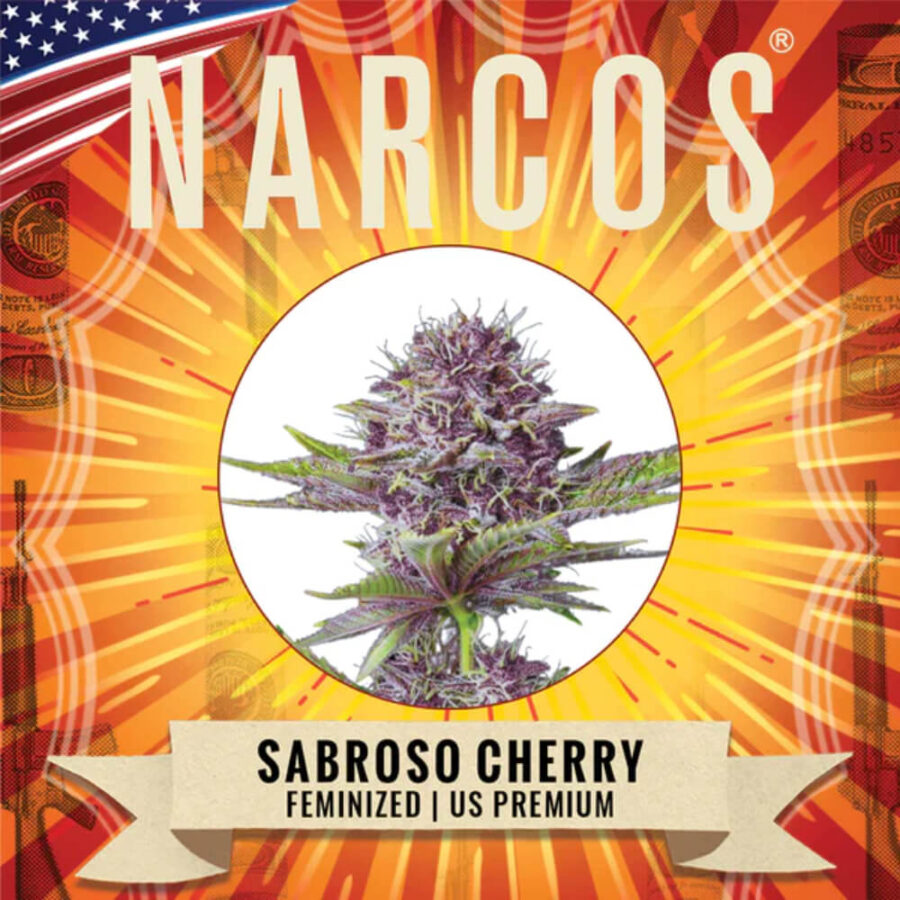 Narcos Sabroso Cherry Feminized (5 Samen Packung)