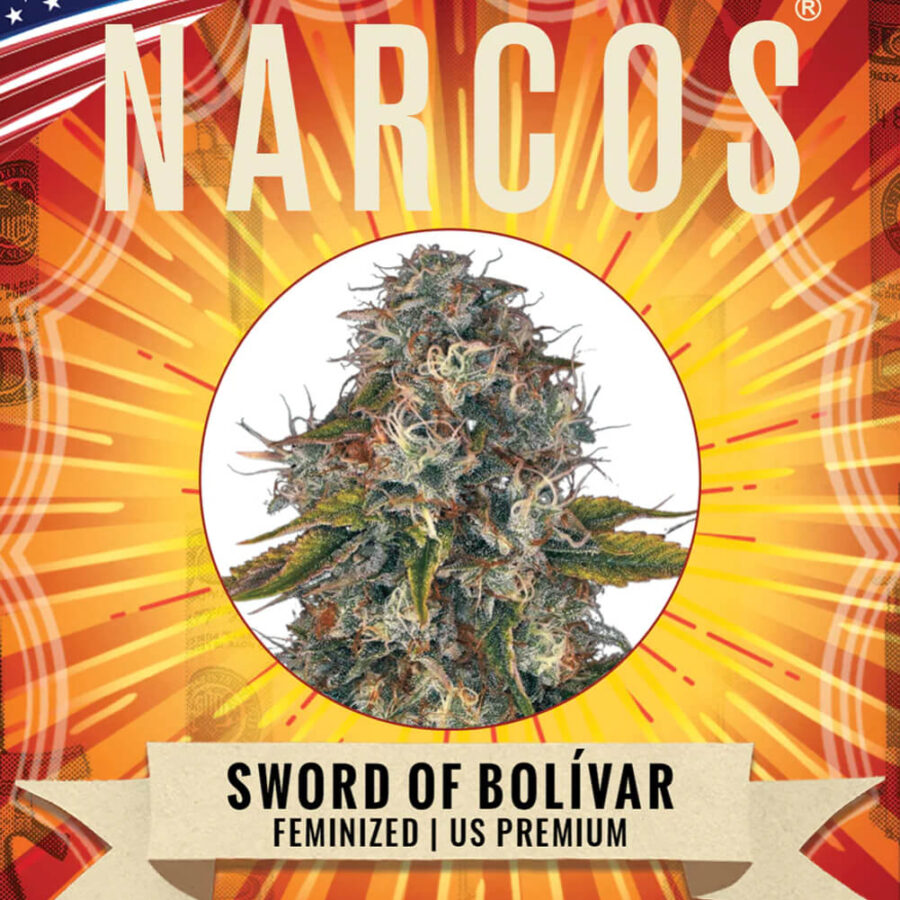 Narcos Sword of Boliávar Feminized (5 Samen Packung)