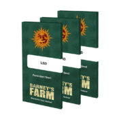 Barney's Farm LSD (3 Samen Packung)