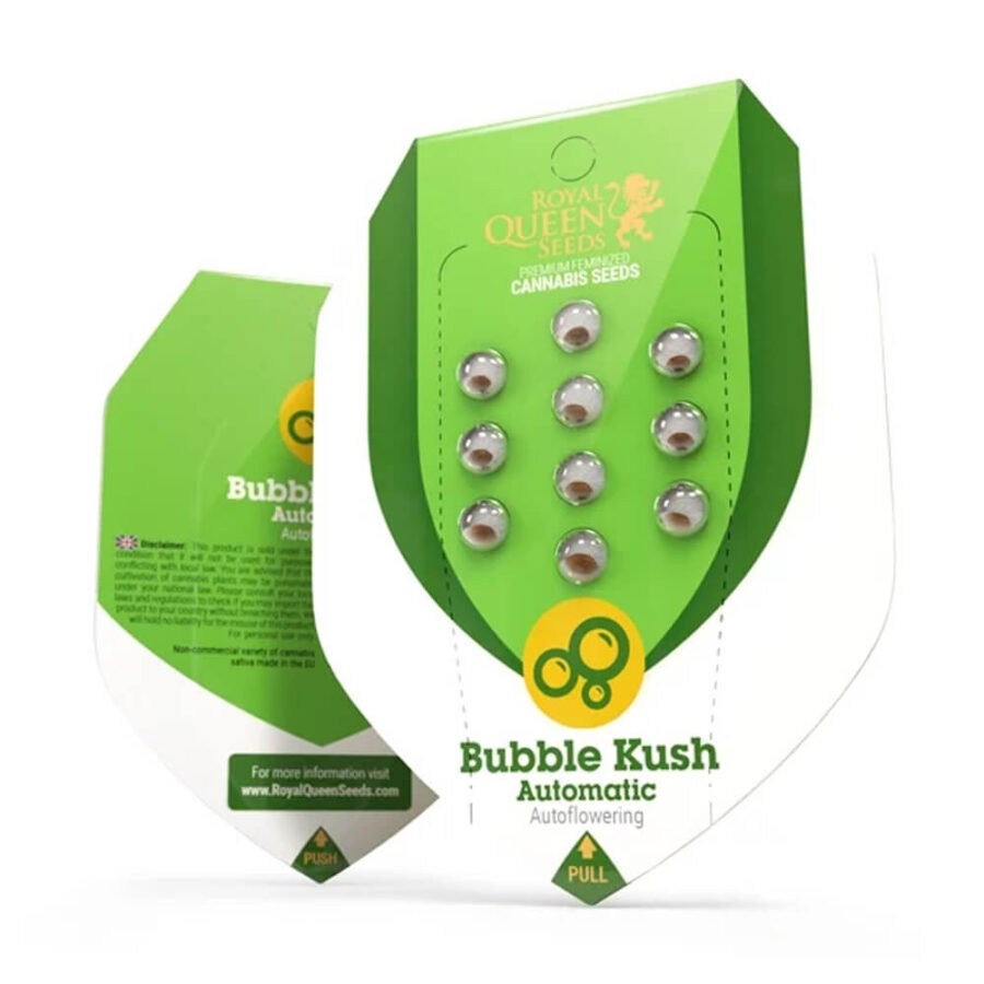 Royal Queen Seeds Bubble Kush autoflowering cannabis seeds (3 Samen Packung)