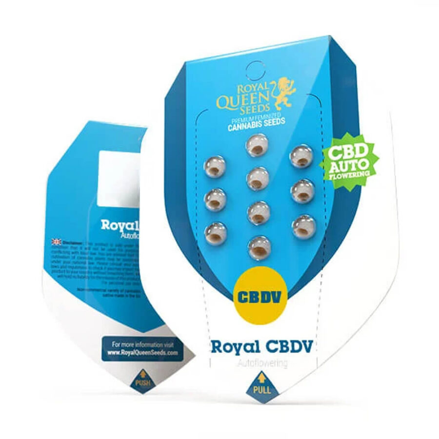 Royal Queen Seeds Royal CBDV autoflowering cannabis seeds (5 Samen Packung)