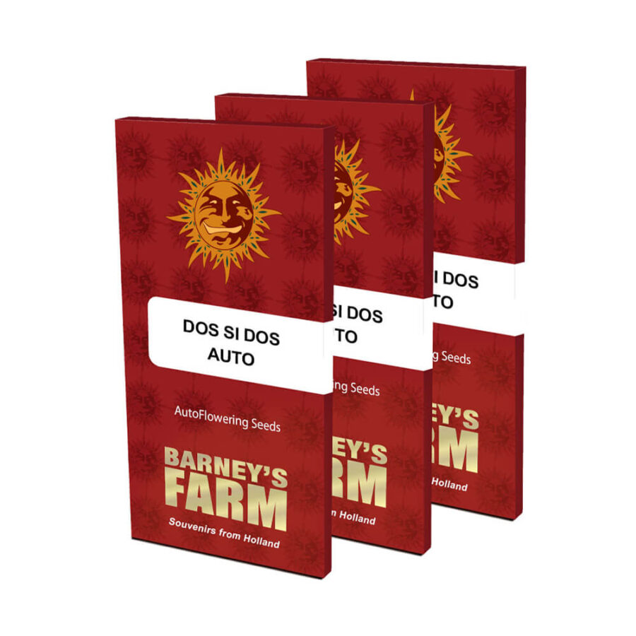 Barney's Farm Dos Si Dos Auto autoflowering cannabis seeds (5 Samen Packung)