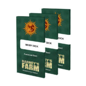 Barney's Farm Moby Dick feminized cannabis seeds (3 Samen Packung)