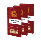 Barney's Farm Sour Diesel Auto autoflowering cannabis seeds (3 Samen Packung)