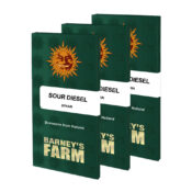 Barney's Farm Sour Diesel Auto autoflowering cannabis seeds (5 Samen Packung)